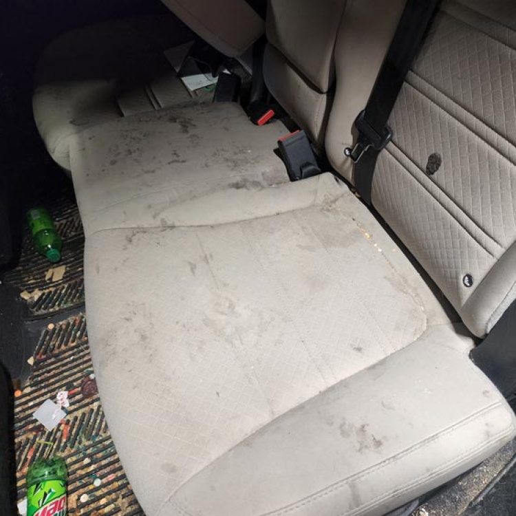 Auto detailing before - back seat